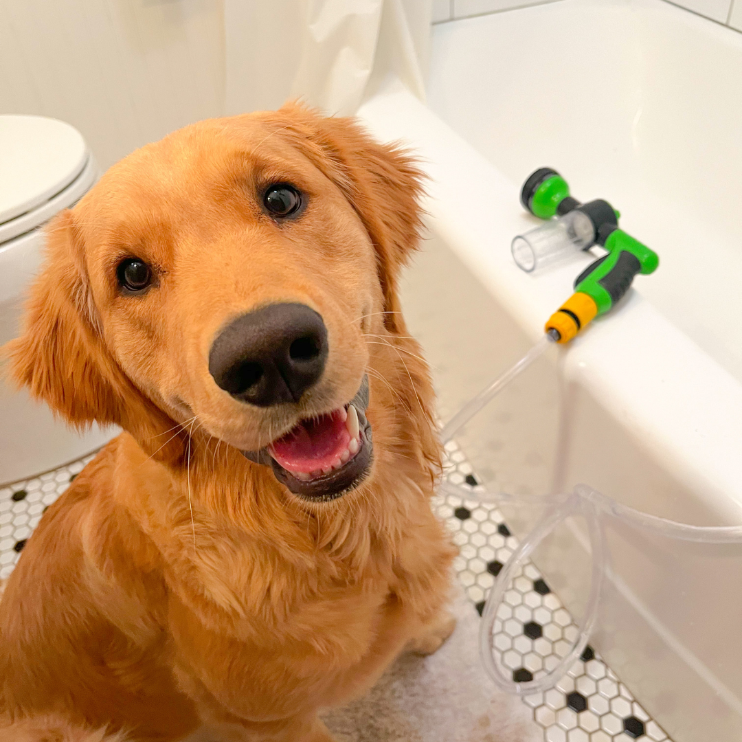 DogClean™ Gemakkelijk wassen na het spelen!