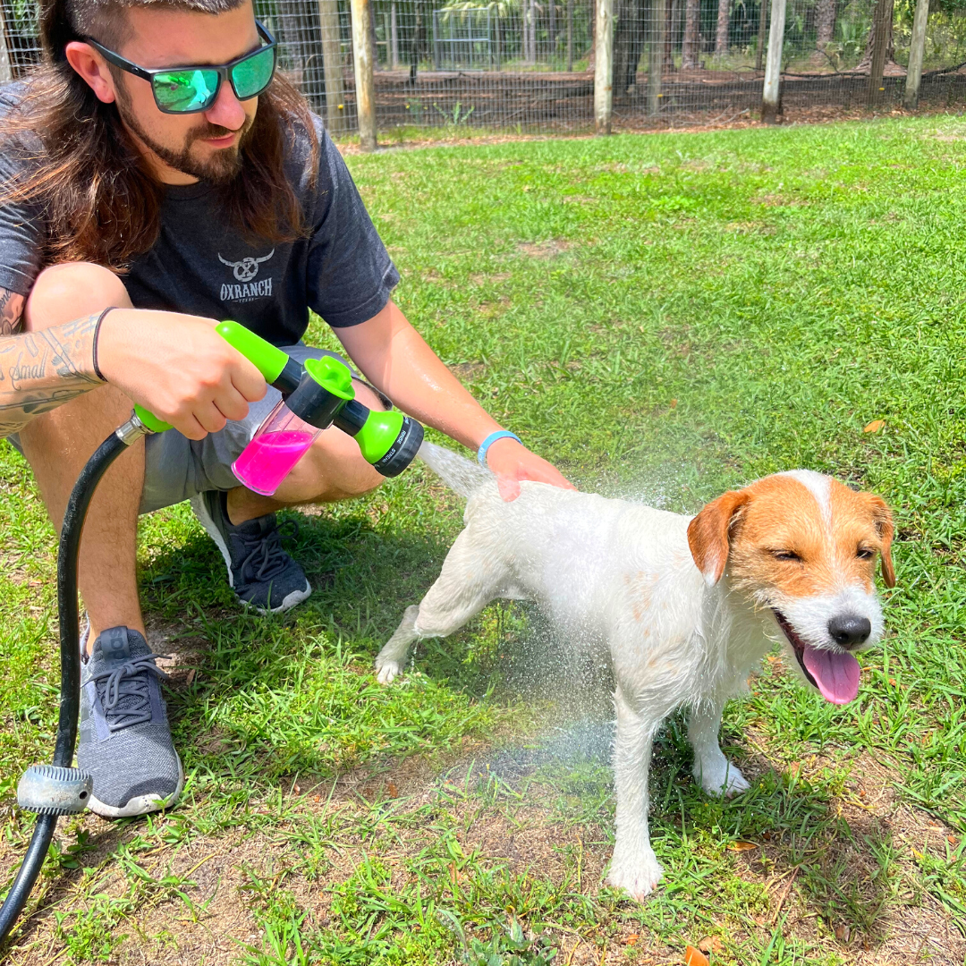 DogClean™ Gemakkelijk wassen na het spelen!